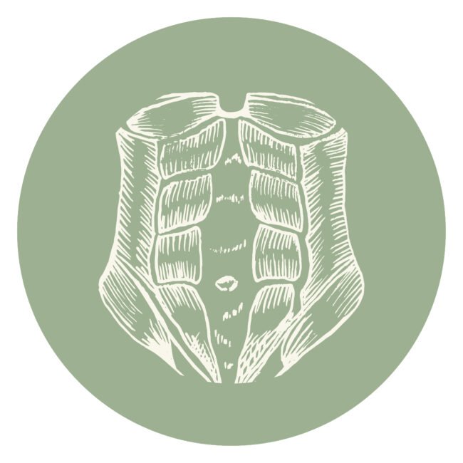 lindsay-mcghee-designs-rylee-stephens-chiropractor-icon-postnatal